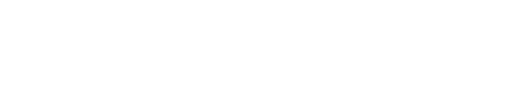 ガウディキャリア